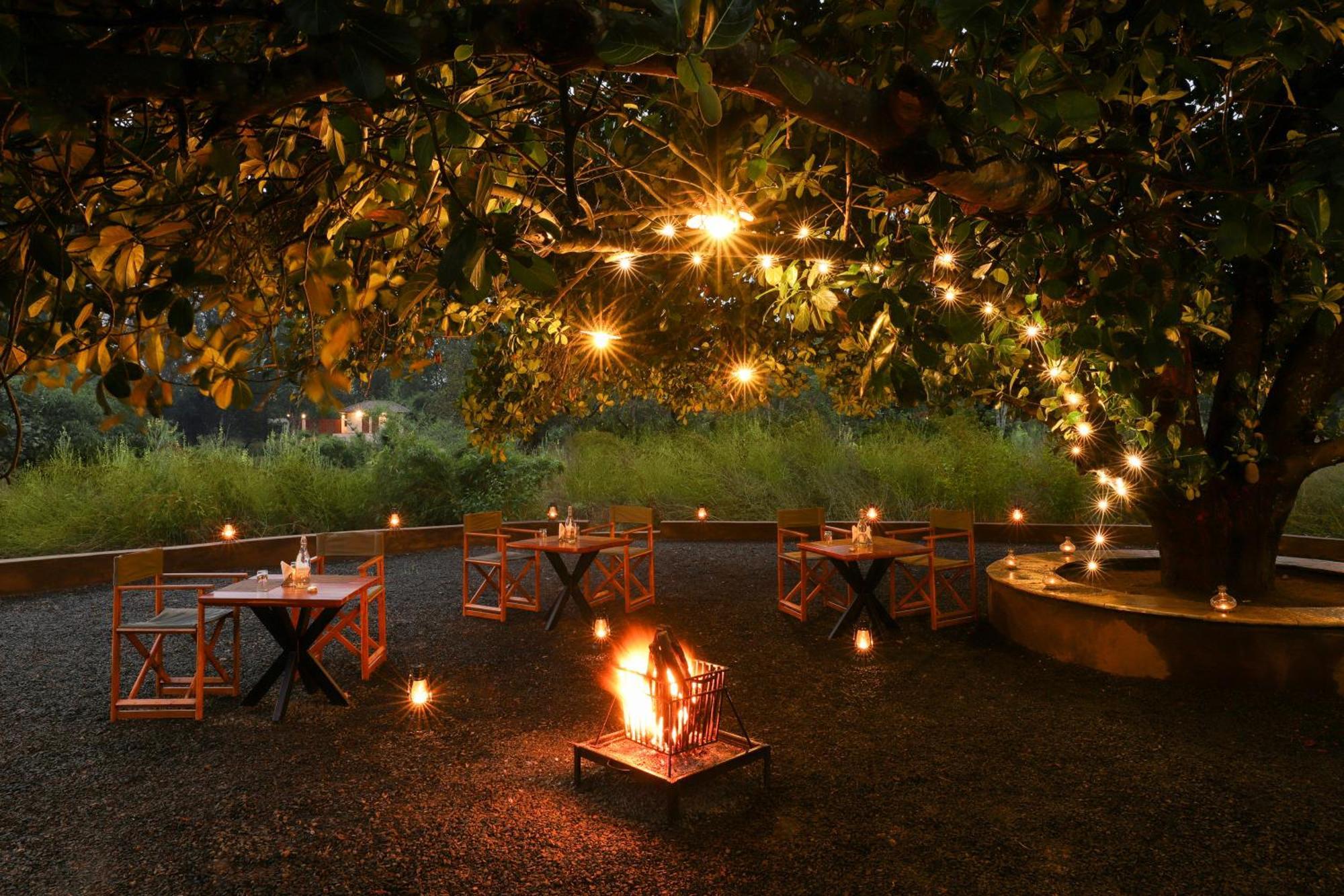 Lemon Tree Wildlife Resort, Kānha Exteriér fotografie